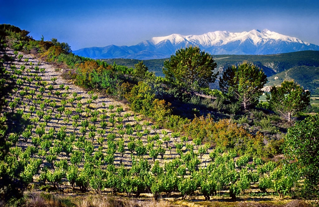 LES PYRENEES CATALANES