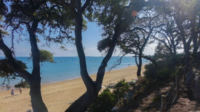 LA VENDEE ET SES ILES