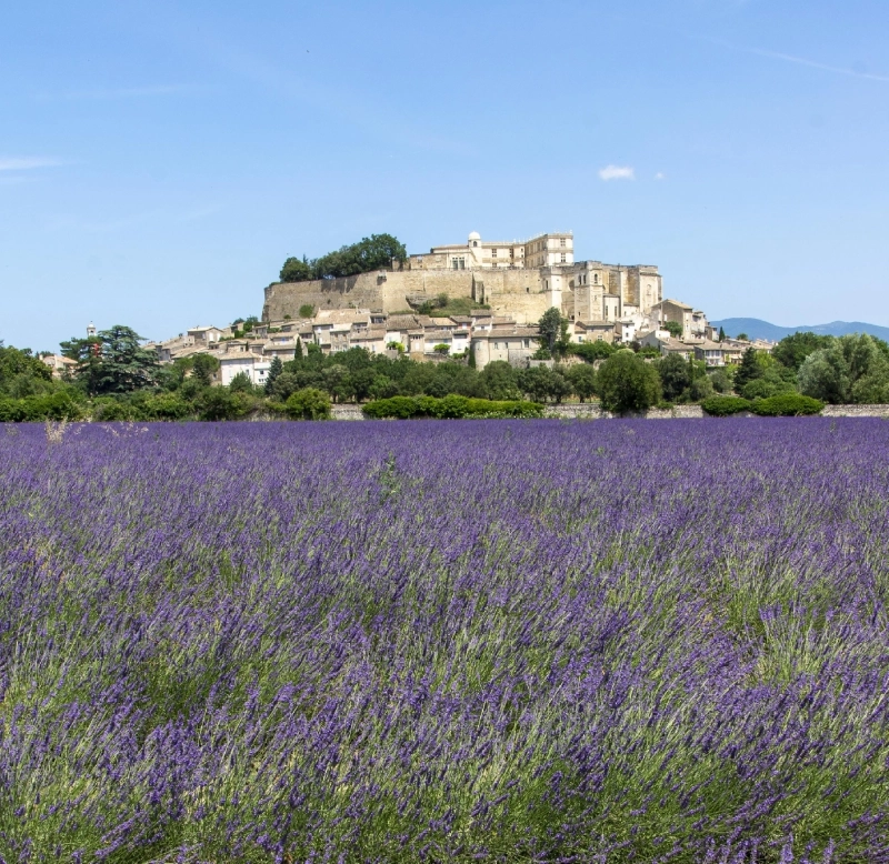 AU COEUR DE LA DRÔME PROVENÇALE